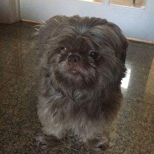 Meet your Posher, Dan